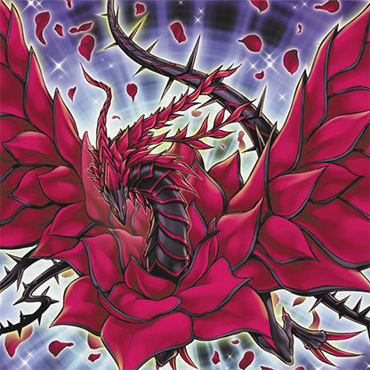 Illustration de Dragon Rose Noire